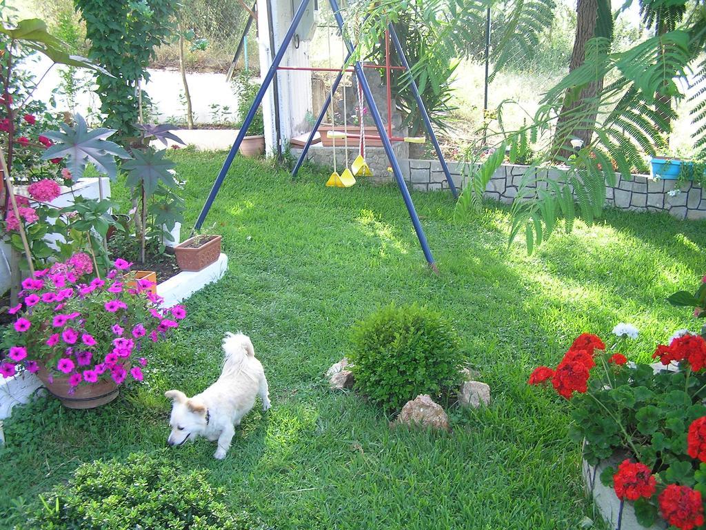 Villa Dallas 보우르보우로우 외부 사진